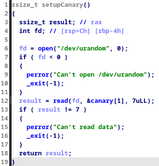 IDA setupCanary