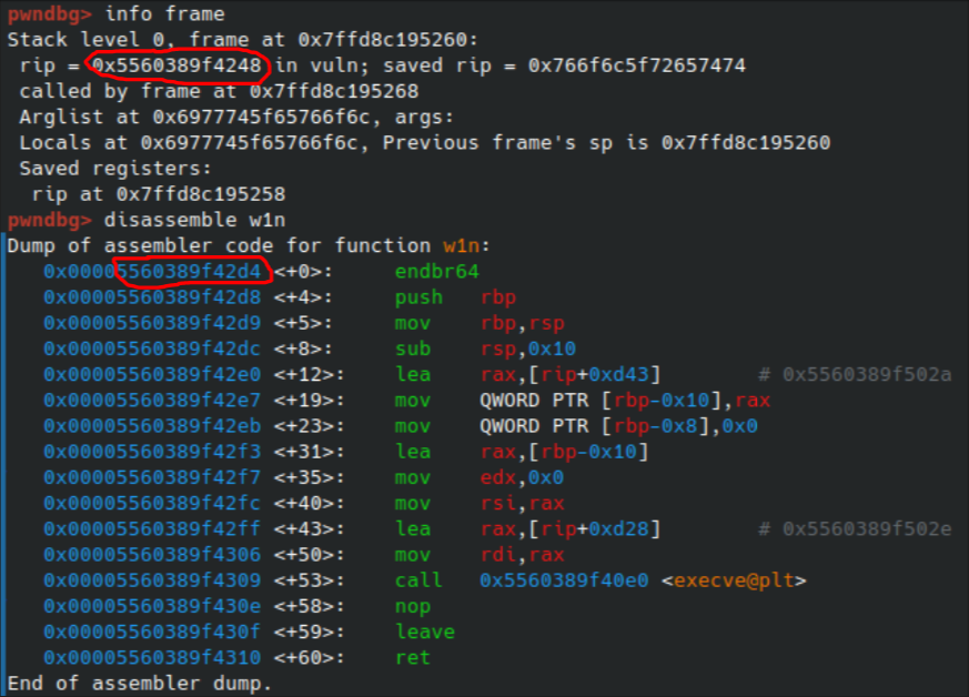 Vị trí RIP byte