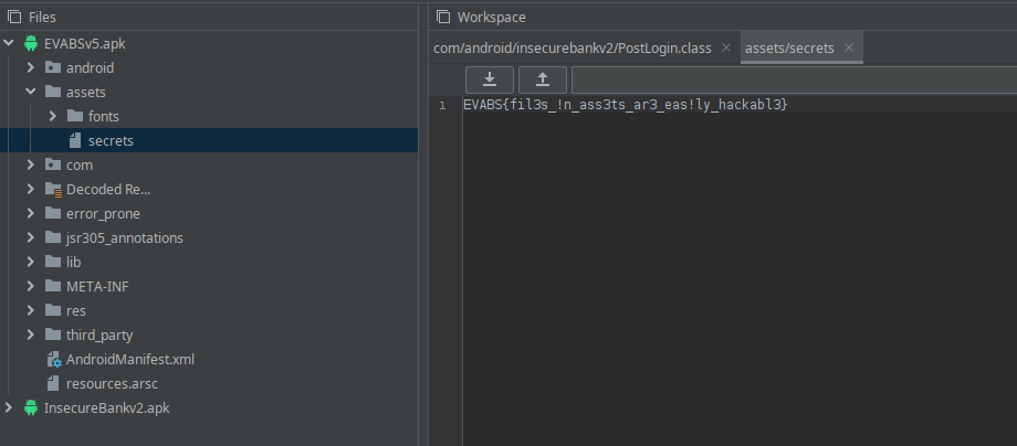 Secret file in assets