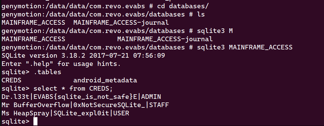 SQLite database leak
