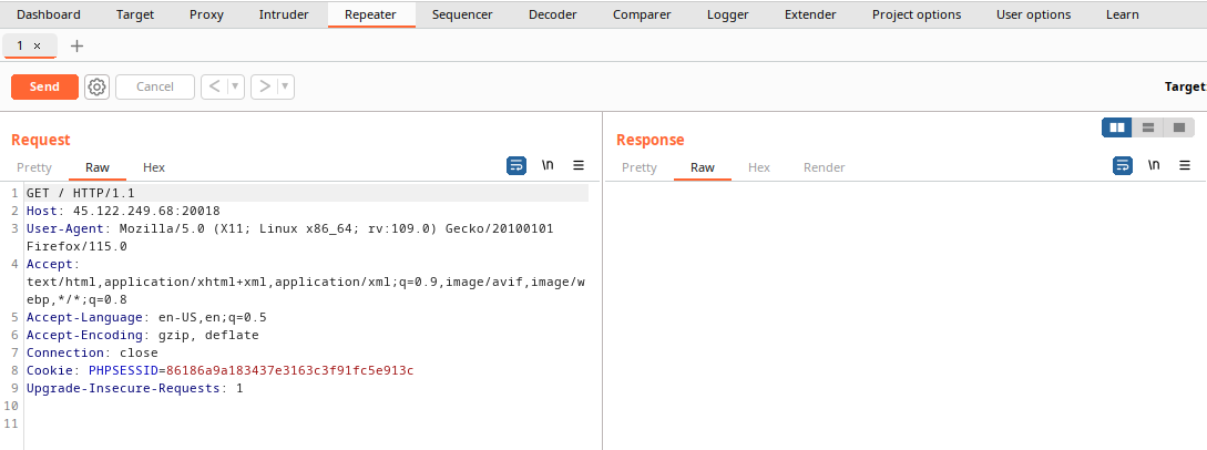 Burp Suite Repeater setup